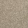 Mohawk Carpet: Dynamic Quality I Iron Clad